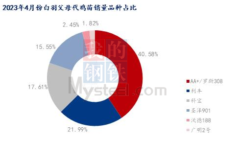 新澳门最精准更新最快,详细解答、解释与落实