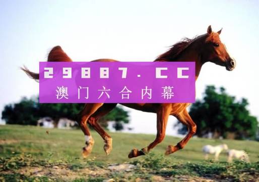 澳门今晚精准一肖，神秘与现实的交汇