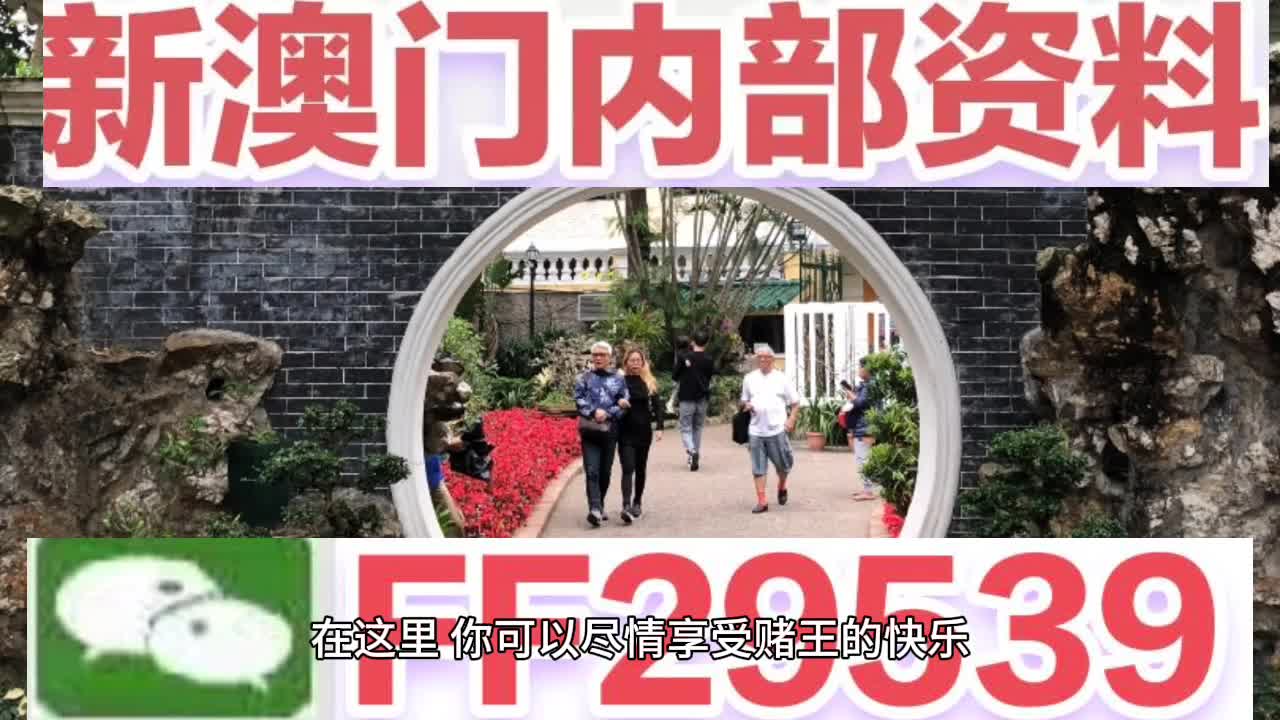 2025澳门特马今晚开奖亿彩网，精选解析解释落实