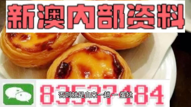 新澳门资料免费大全，全面释义解释落实