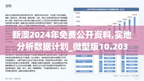 2025新澳正版免费资料，精选解析解释落实
