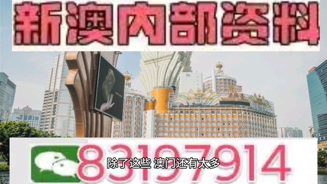 2025年澳门特马今晚，精选解析解释落实