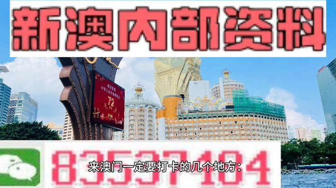 新澳门免费资料大金精准版2025澳，精选解析解释落实