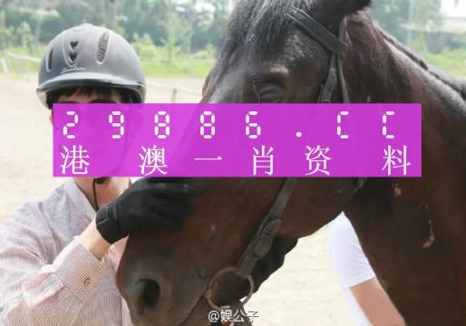 资讯 第11页