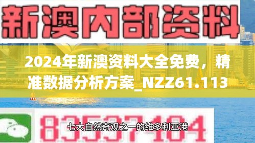 新澳2025内部爆料，实用释义解释落实