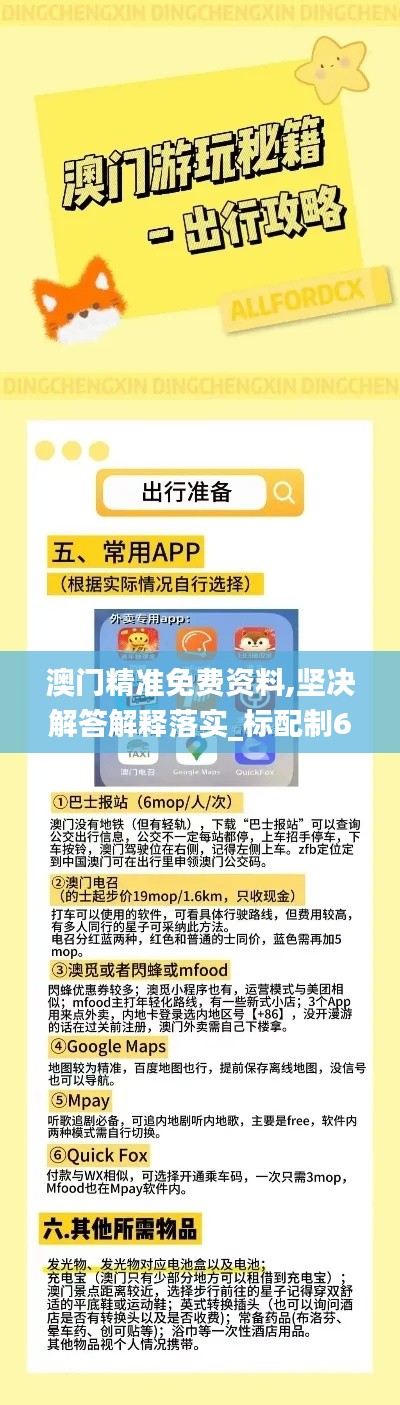 2025澳门免费精准资料，词语释义解释落实