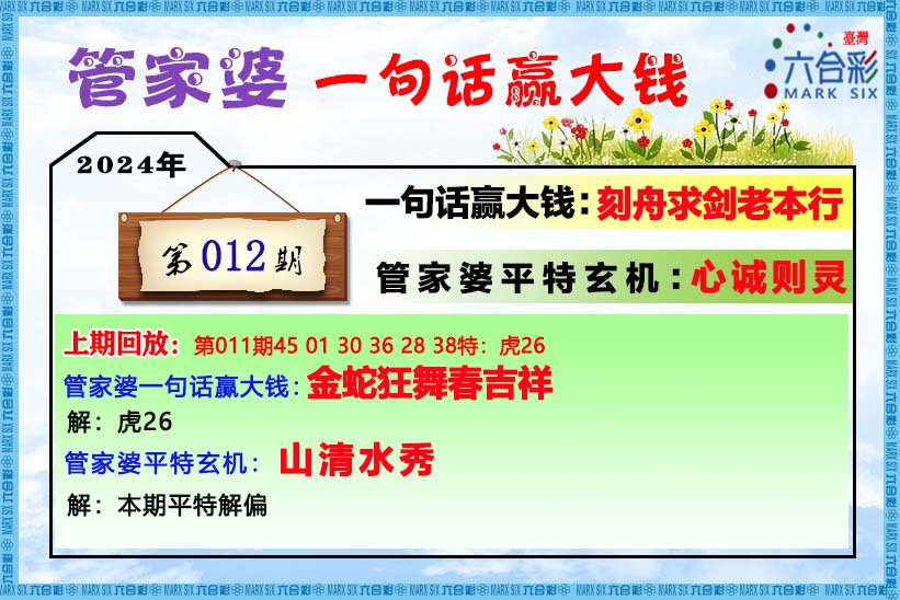 王中王资料一肖一特管家婆，全面释义解释落实