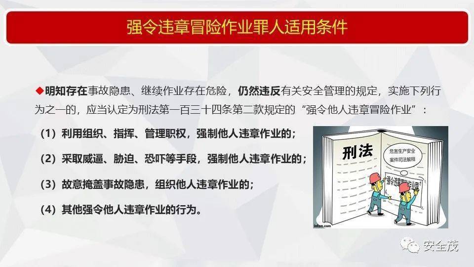 澳门4949今晚开奖，全面释义解释落实
