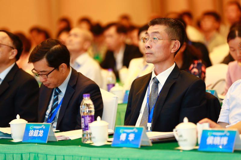 2025澳门免费精准大全，全面释义解释落实